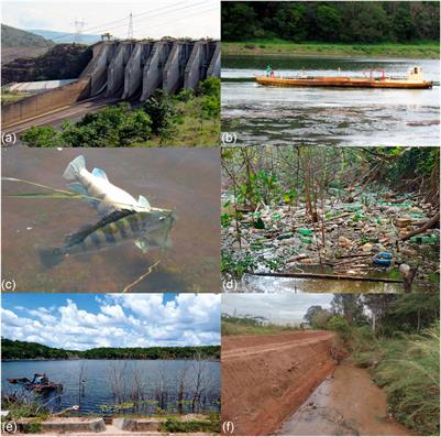 Editorial: Freshwater biodiversity crisis: Multidisciplinary approaches as tools for conservation